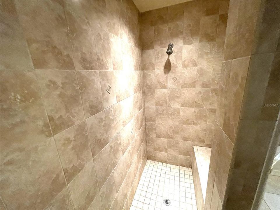 Master Bathroom Walk-In Shower