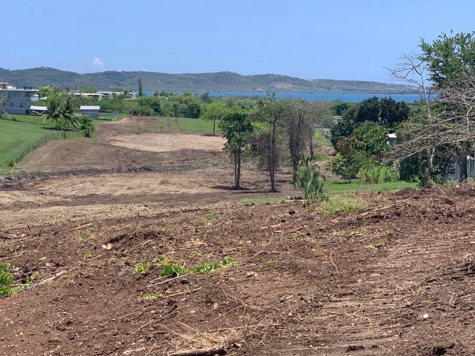 For Sale: $795,000 (6.50 acres)