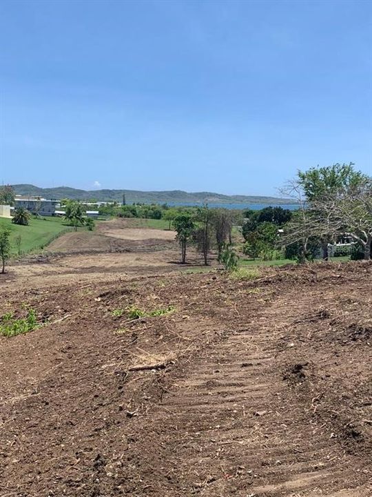 For Sale: $795,000 (6.50 acres)