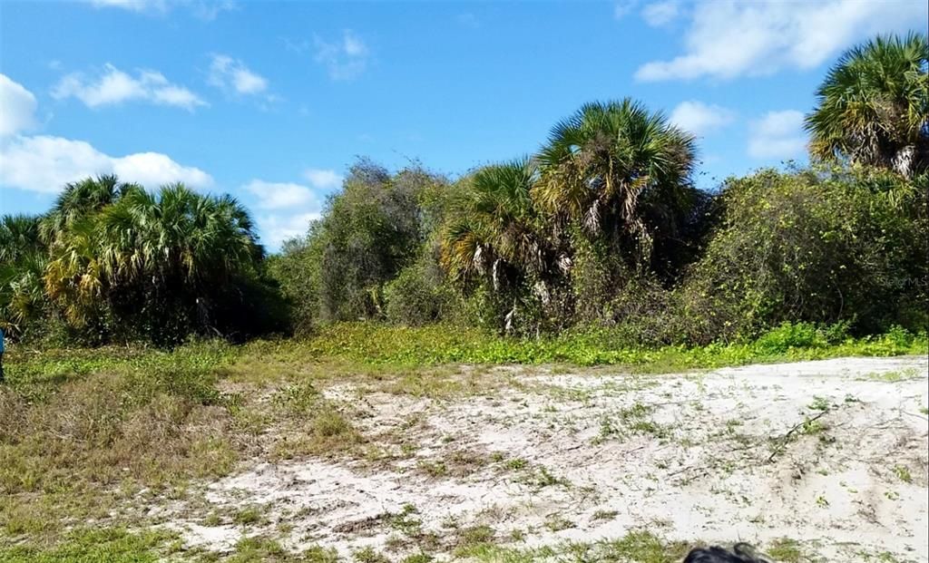 For Sale: $29,900 (0.26 acres)