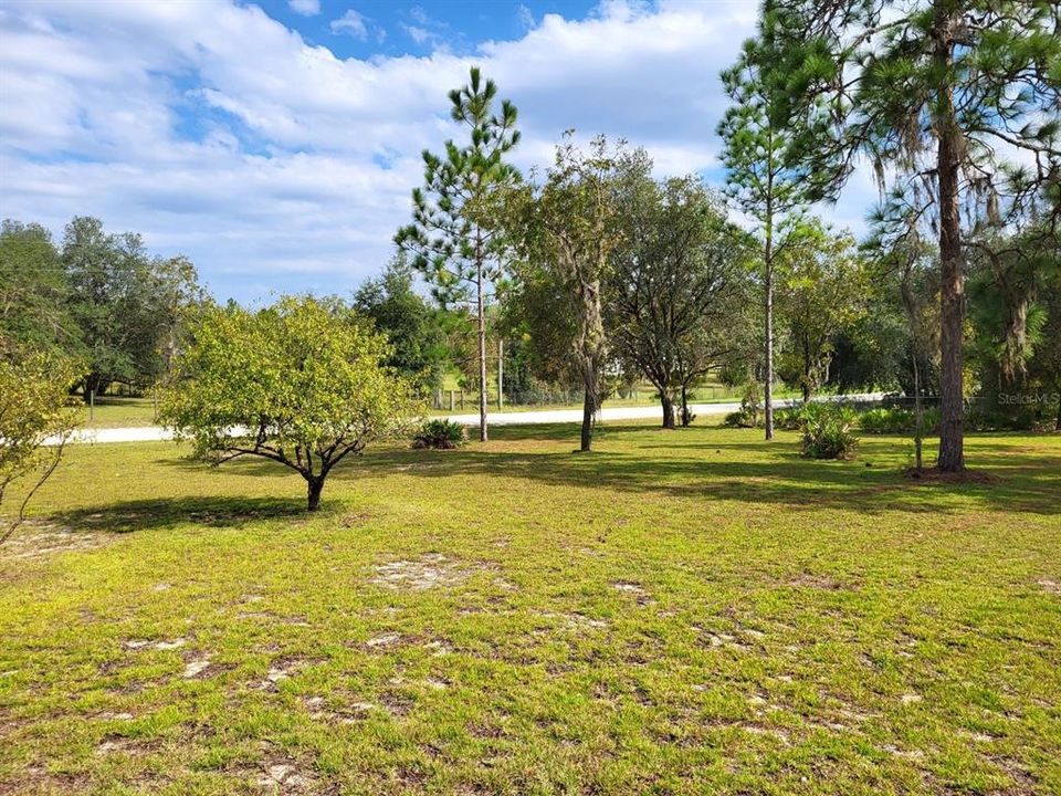 View from front door