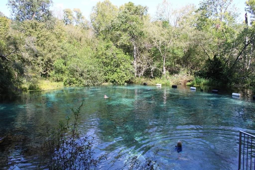 Ichetucknee Springs State Park; 3 miles proximity to the property.