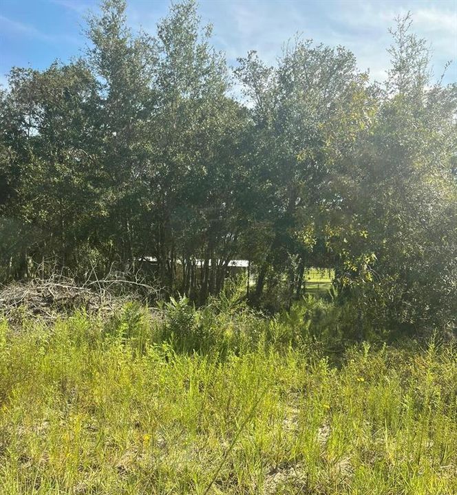 En Venta: $20,000 (0.23 acres)