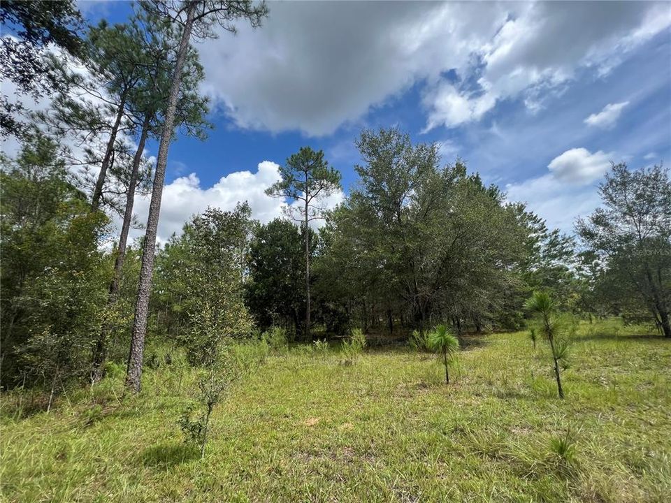 Recently Sold: $372,000 (31.00 acres)