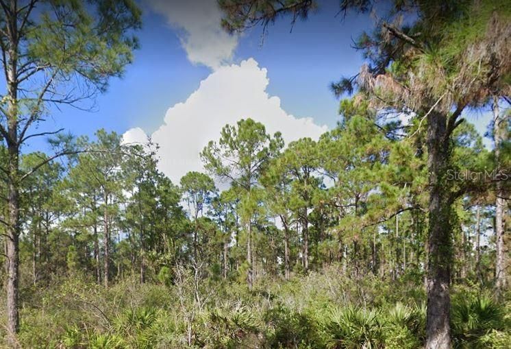 Recently Sold: $12,999 (0.50 acres)