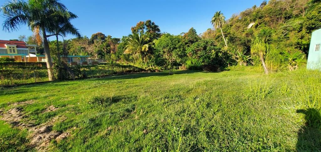 Vendido Recientemente: $55,000 (0.31 acres)