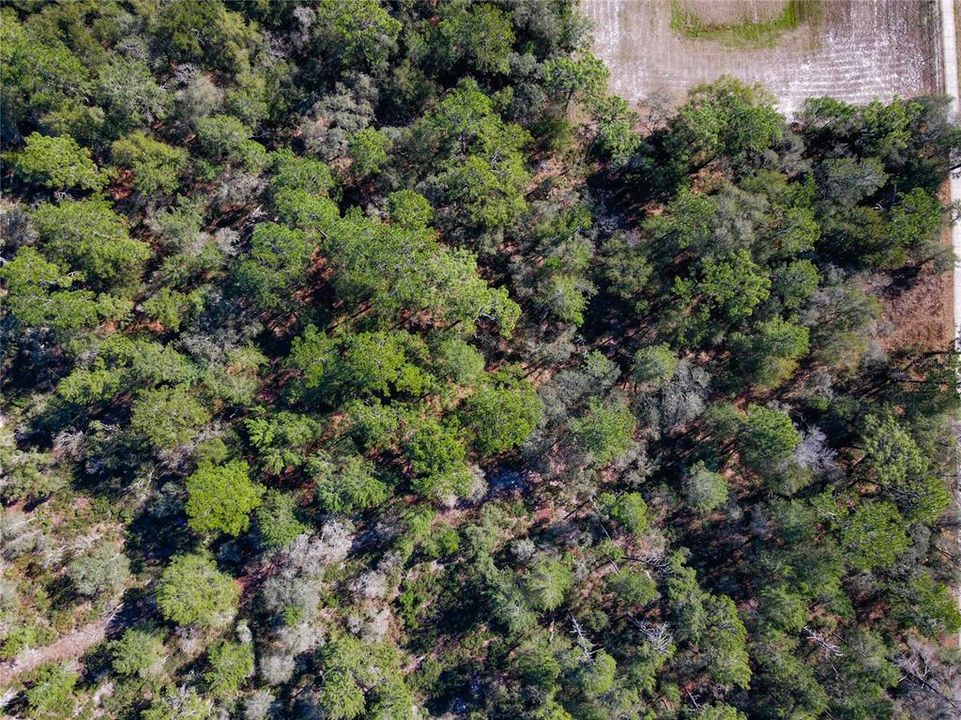 En Venta: $325,000 (4.24 acres)