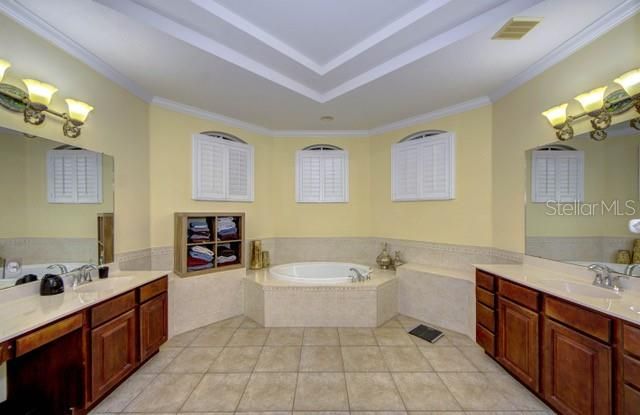 Primary Bathroom w/separate double sinks & Tray Ceiling
