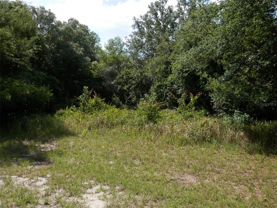 Active With Contract: $17,000 (0.26 acres)