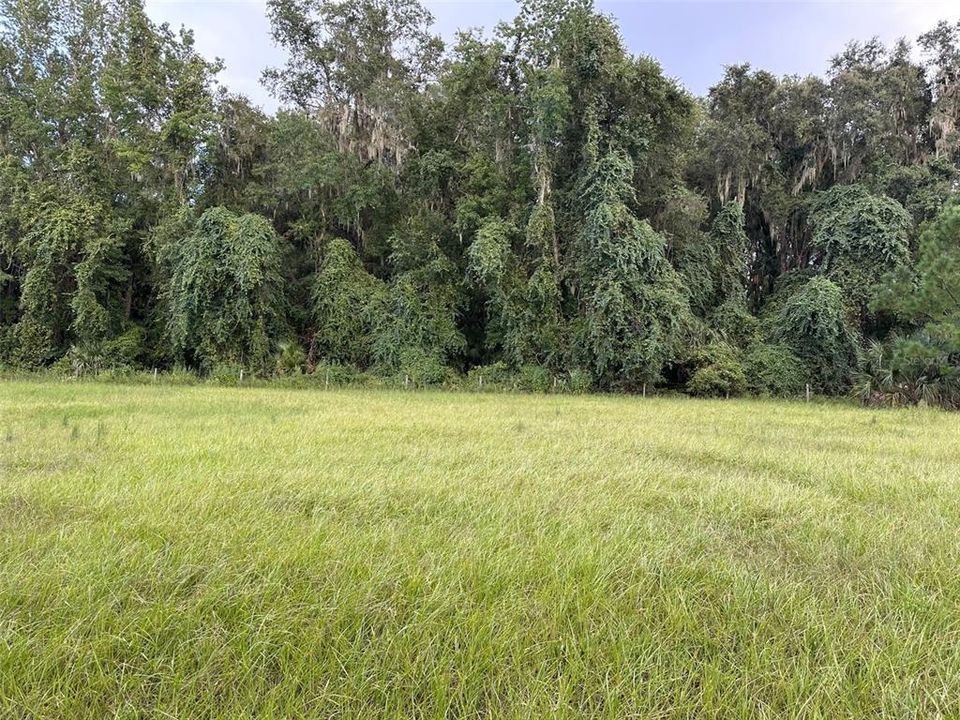 For Sale: $100,000 (5.00 acres)