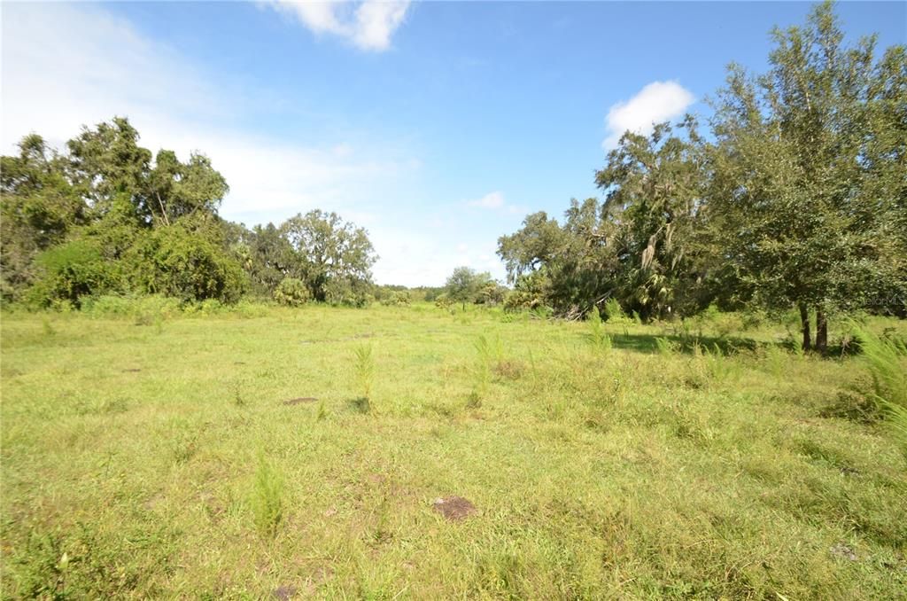 En Venta: $2,500,000 (325.10 acres)