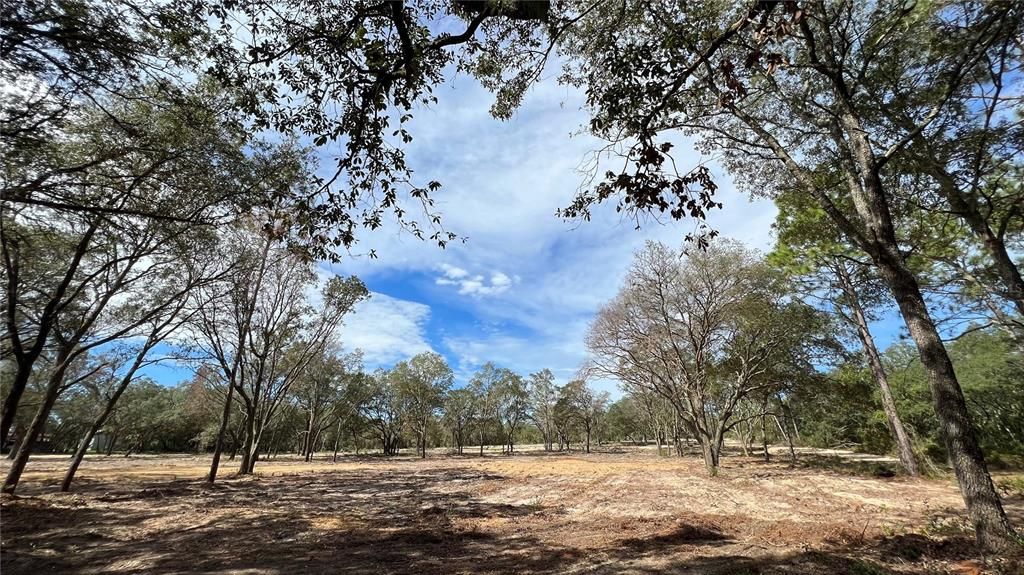 Front of lot on NE 115th Ave