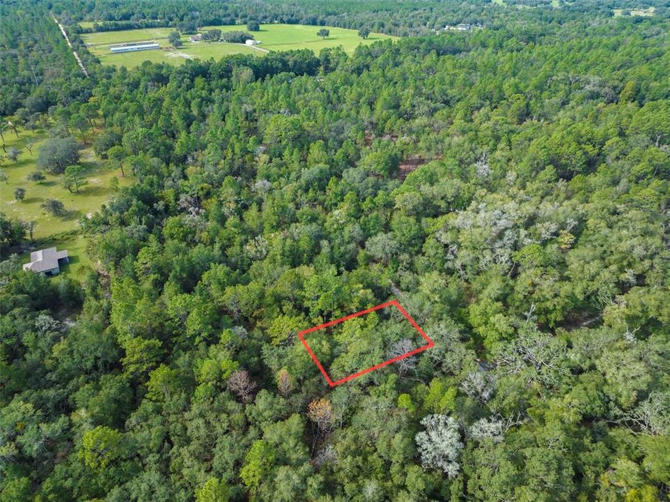 For Sale: $13,000 (0.32 acres)