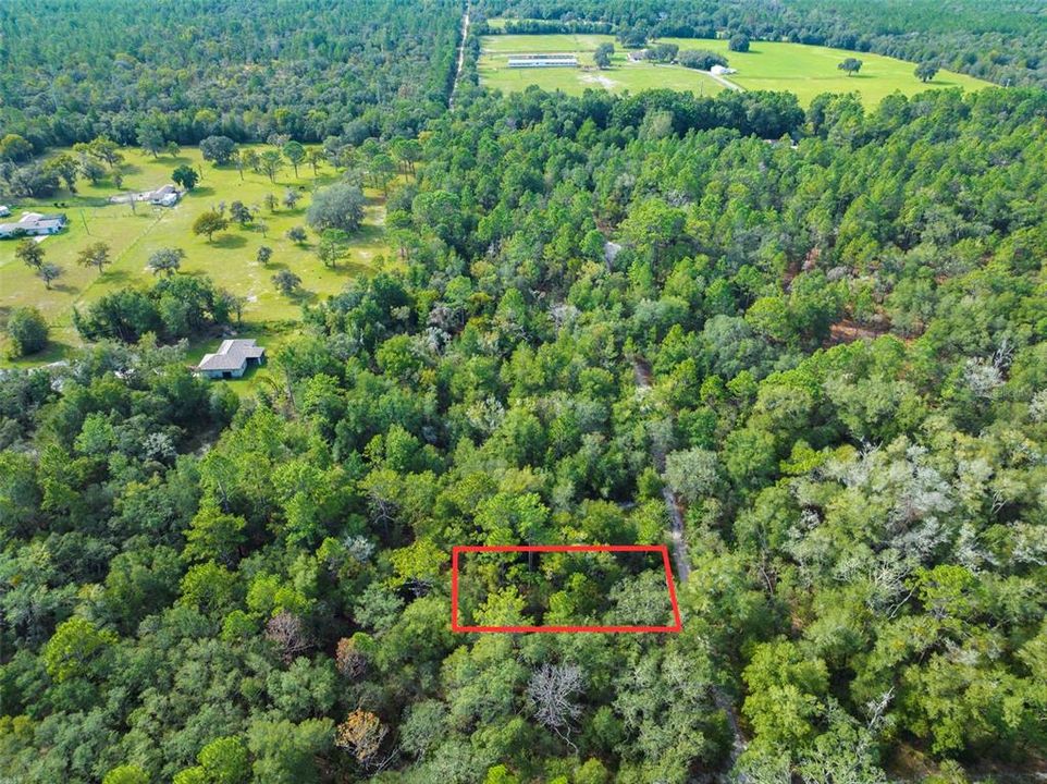 For Sale: $13,000 (0.32 acres)