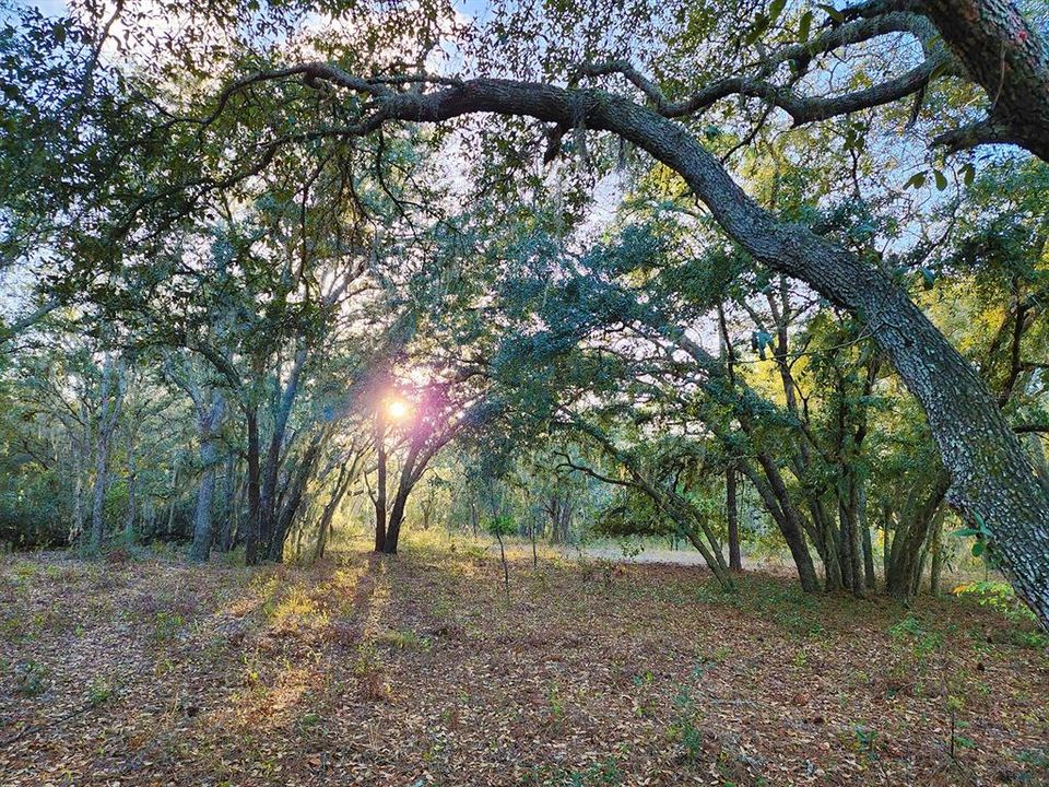 Recently Sold: $70,000 (10.00 acres)