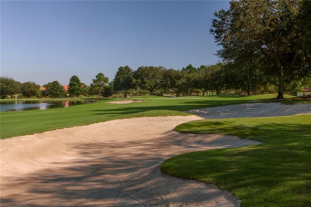 Beautiful  Trees Dot the Fairways and Homes