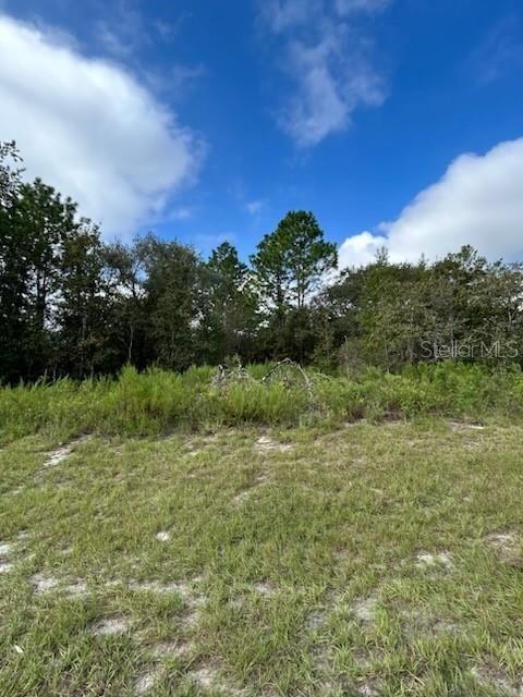 Active With Contract: $30,000 (0.29 acres)