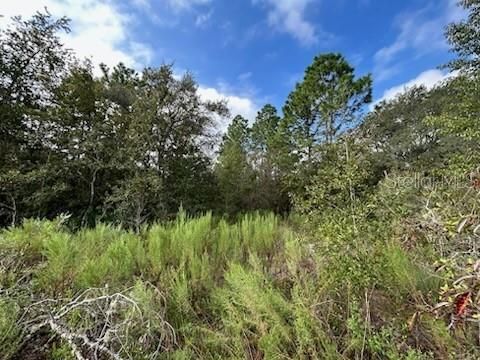 Active With Contract: $30,000 (0.29 acres)