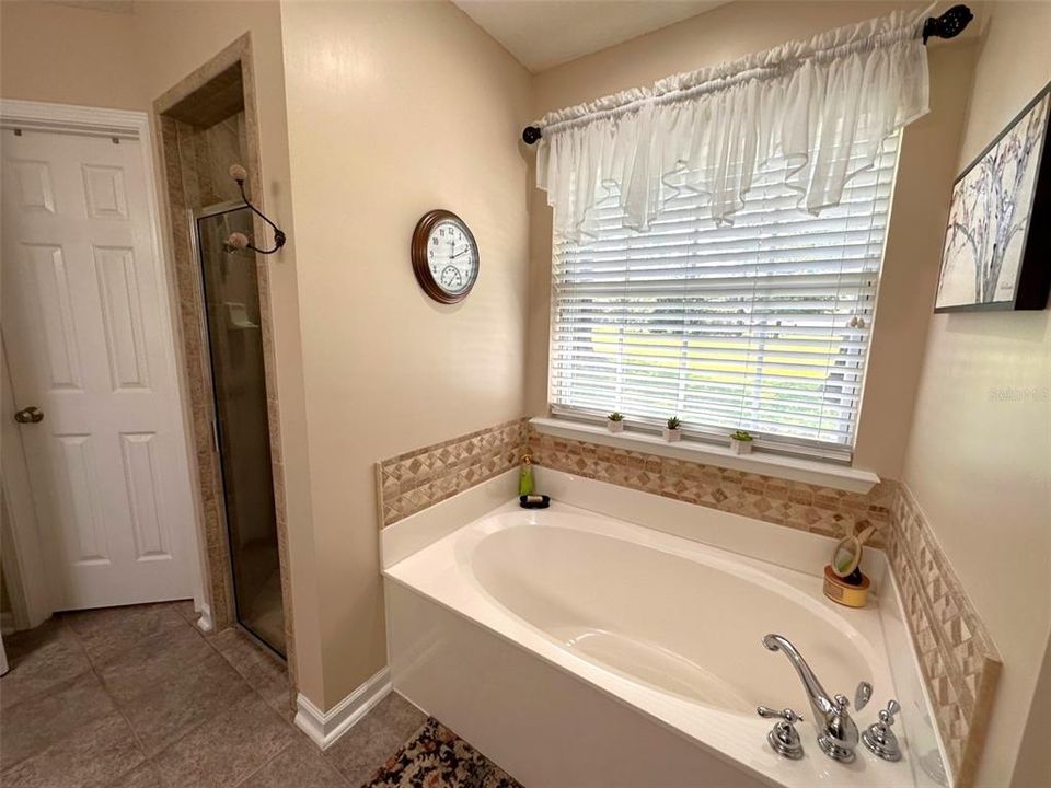 Owner's suite soaking tub
