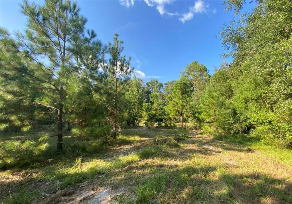 Vendido Recientemente: $155,000 (2.70 acres)