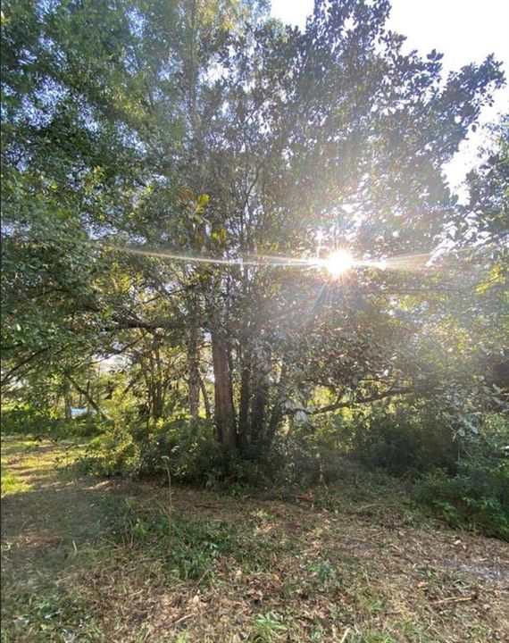 Recently Sold: $155,000 (2.70 acres)