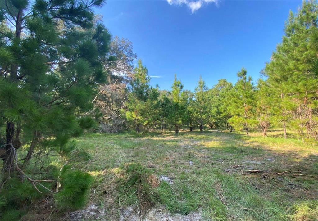 Recently Sold: $155,000 (2.70 acres)