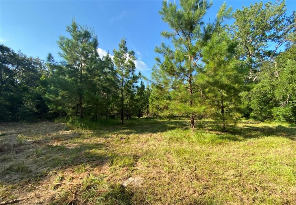 Недавно продано: $155,000 (2.70 acres)