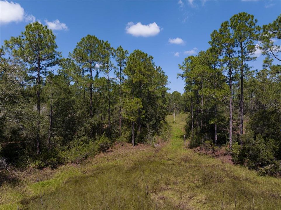 Recently Sold: $5,000 (0.31 acres)