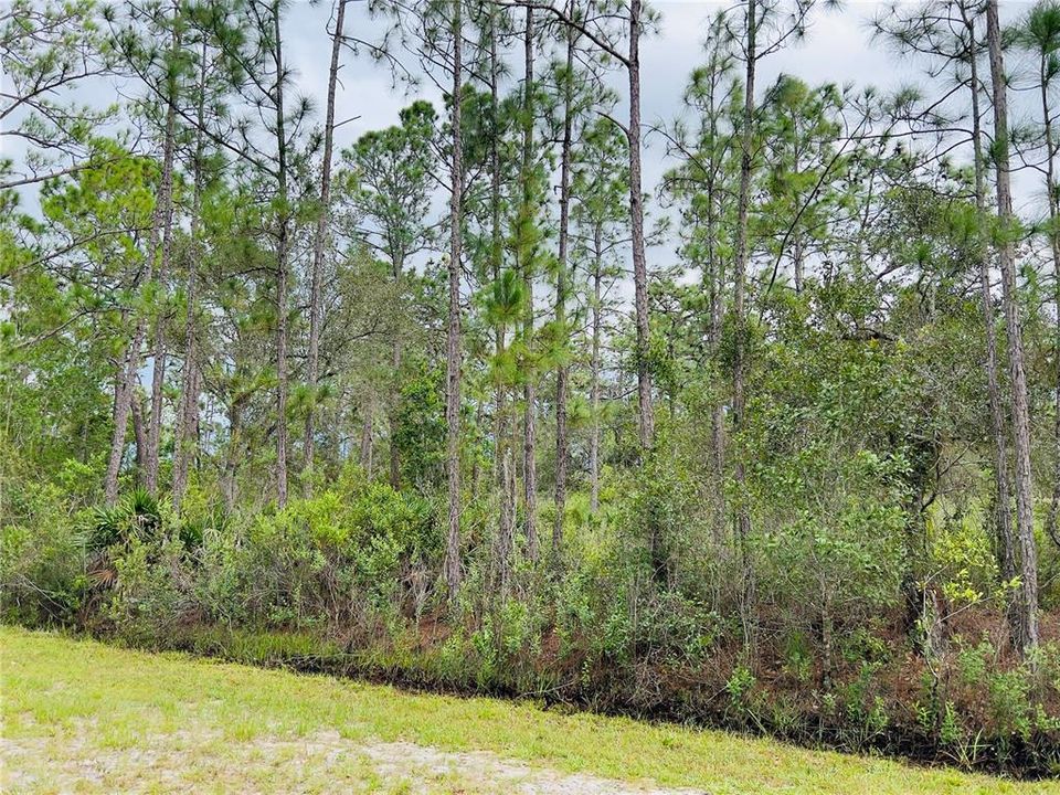 Recently Sold: $25,000 (1.00 acres)