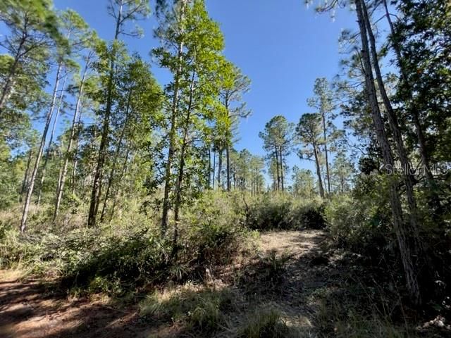 Recently Sold: $24,900 (1.01 acres)