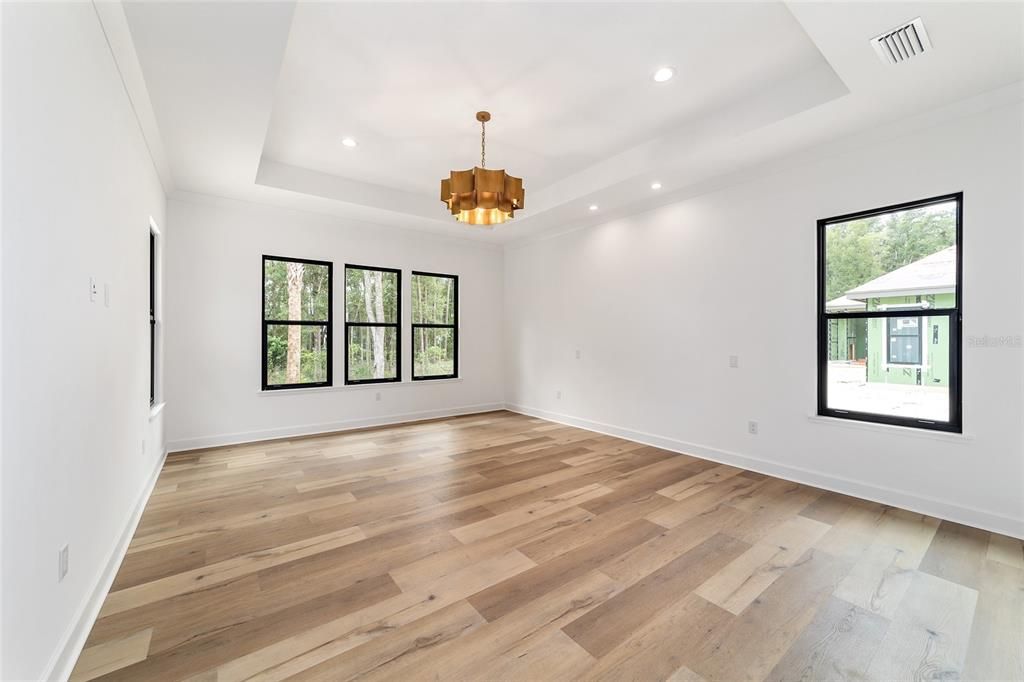 GRAND OWNER'S SUITE WITH TRAY CEILING AND LUXURY VINYL FLOORING