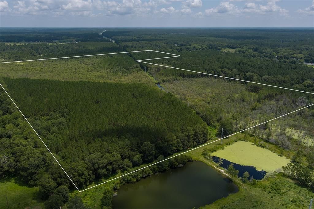 For Sale: $336,750 (89.80 acres)