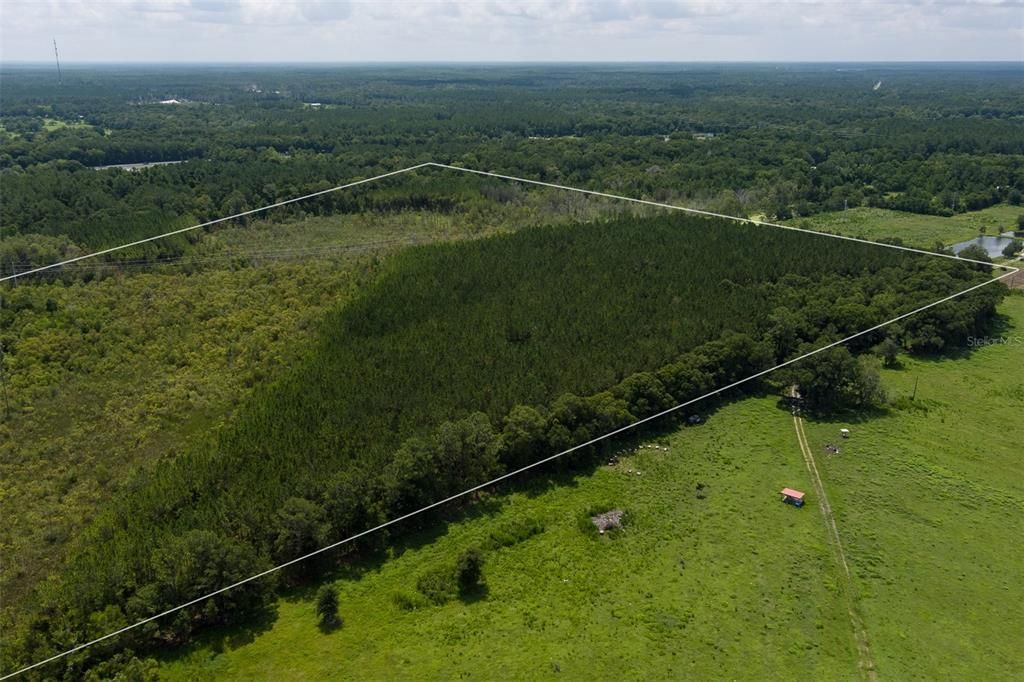 For Sale: $336,750 (89.80 acres)