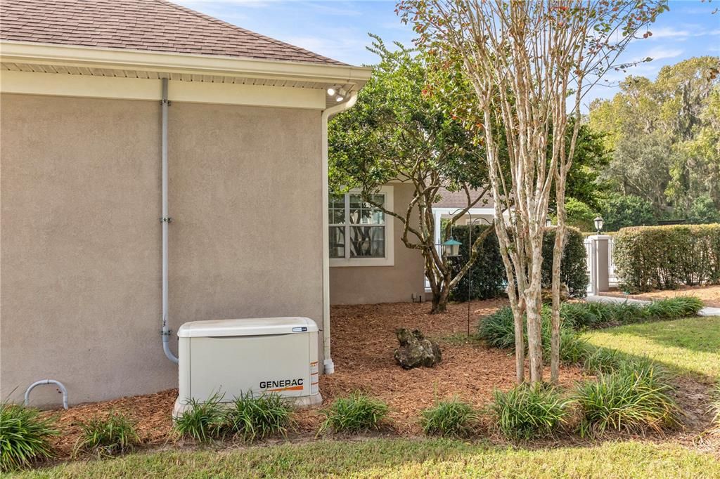 Side of Home/Pool area entrance- Generac Generator