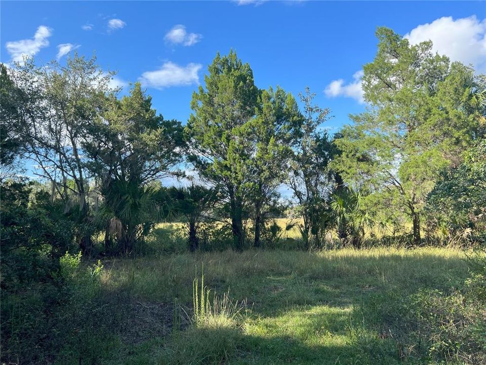 Recently Sold: $40,000 (0.55 acres)