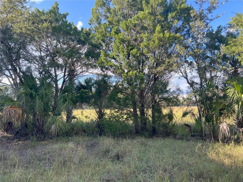 Recently Sold: $40,000 (0.55 acres)