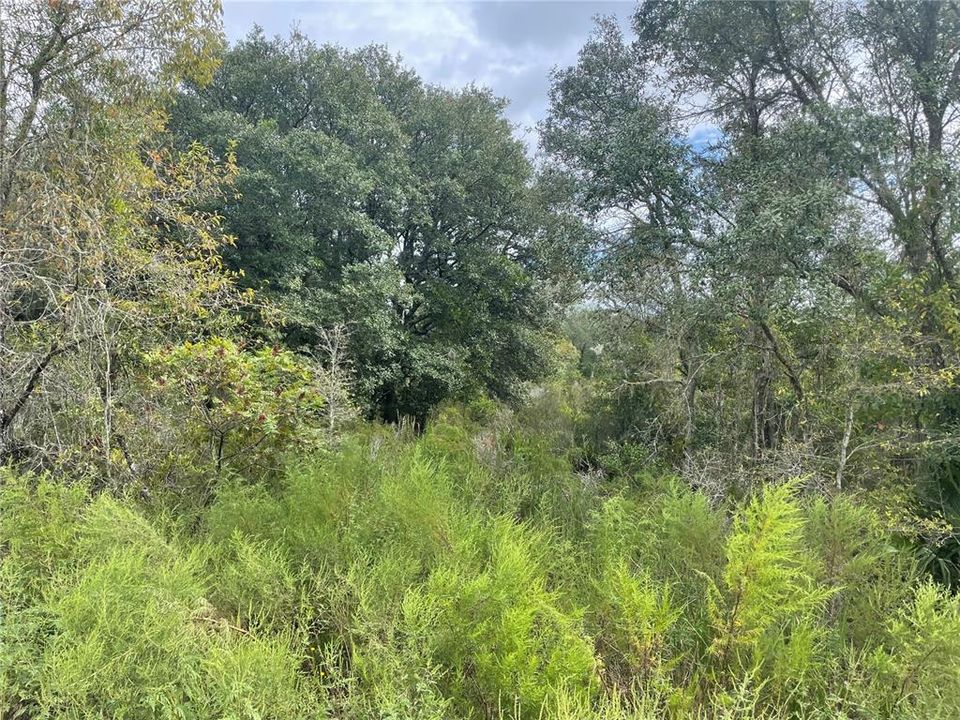 Recently Sold: $17,000 (1.25 acres)