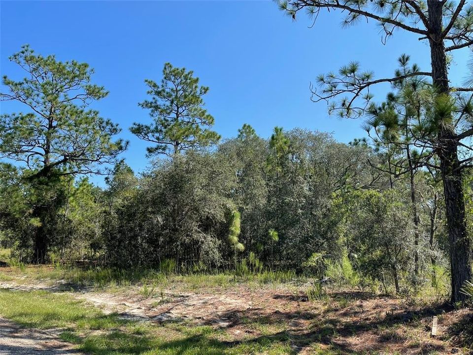 Welcome to your New Homesite!