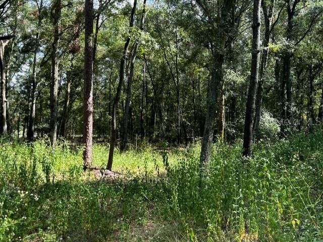 Recently Sold: $52,000 (3.00 acres)
