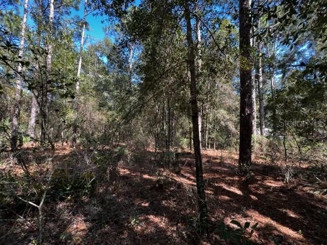 Recently Sold: $19,900 (1.04 acres)