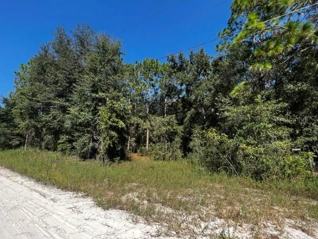 Recently Sold: $19,900 (1.04 acres)