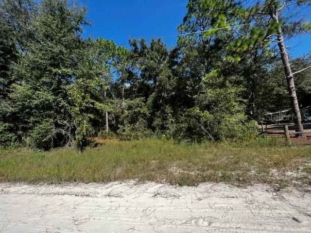 Recently Sold: $19,900 (1.04 acres)