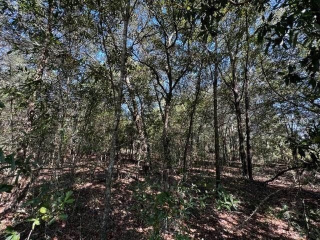 Recently Sold: $21,500 (1.28 acres)