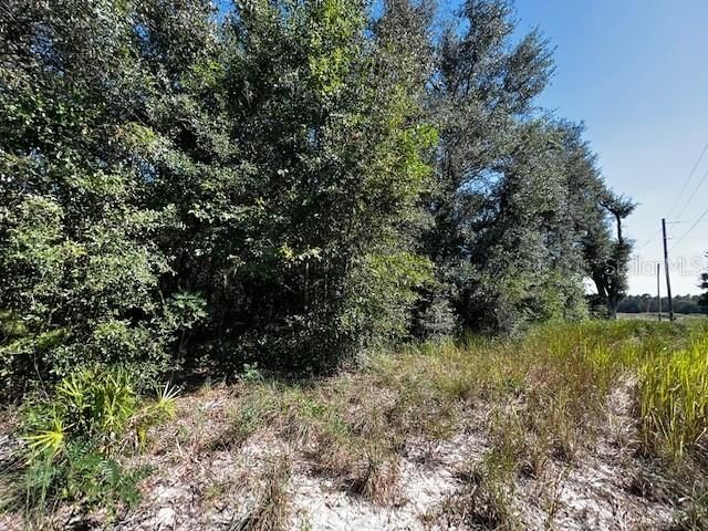 Recently Sold: $21,500 (1.28 acres)