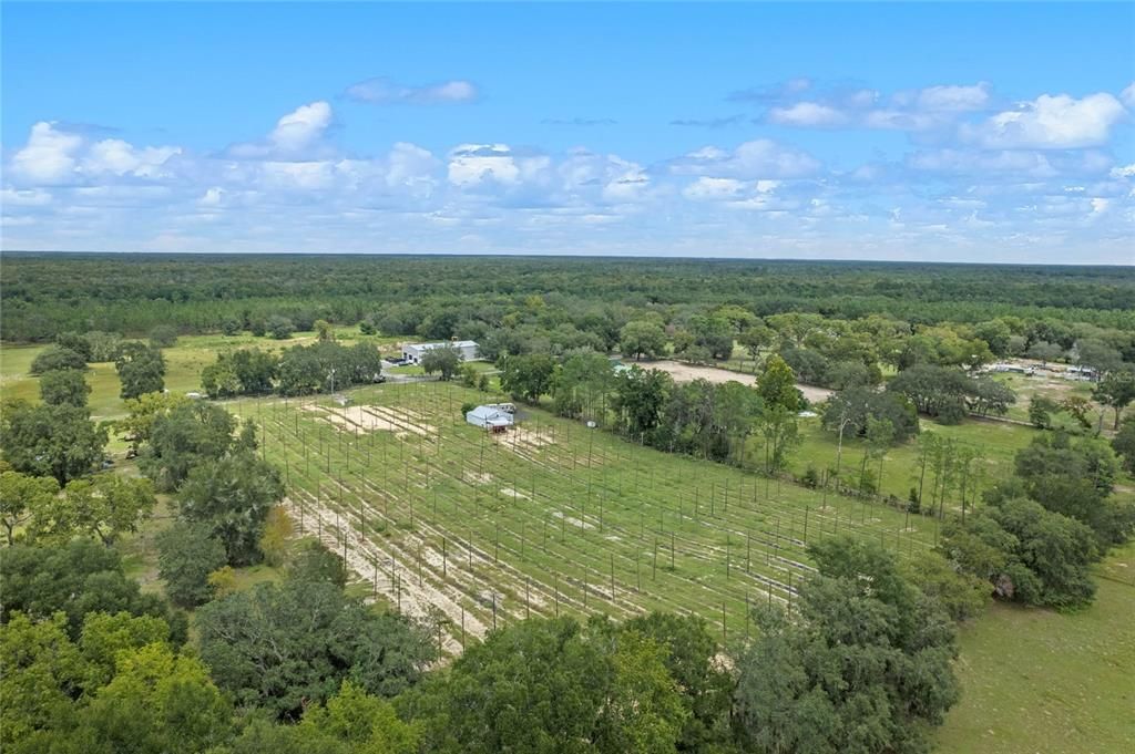 Recently Sold: $250,000 (5.00 acres)