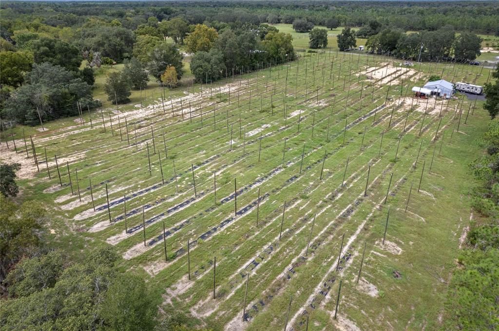 Недавно продано: $250,000 (5.00 acres)