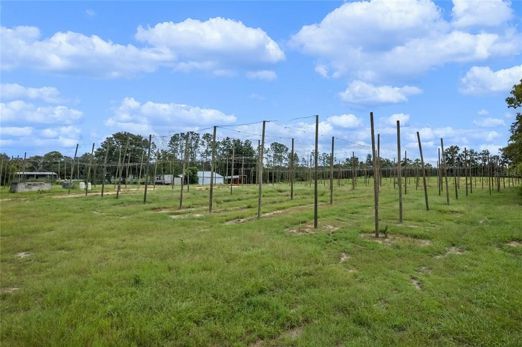 Vendido Recientemente: $250,000 (5.00 acres)