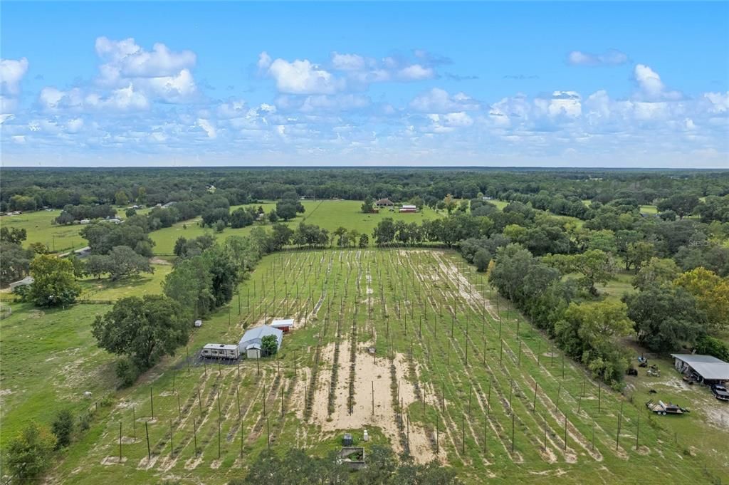 Recently Sold: $250,000 (5.00 acres)