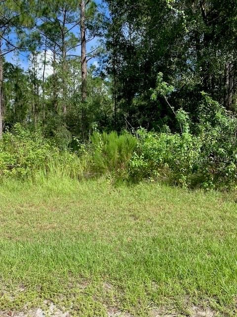 Recently Sold: $13,400 (0.50 acres)