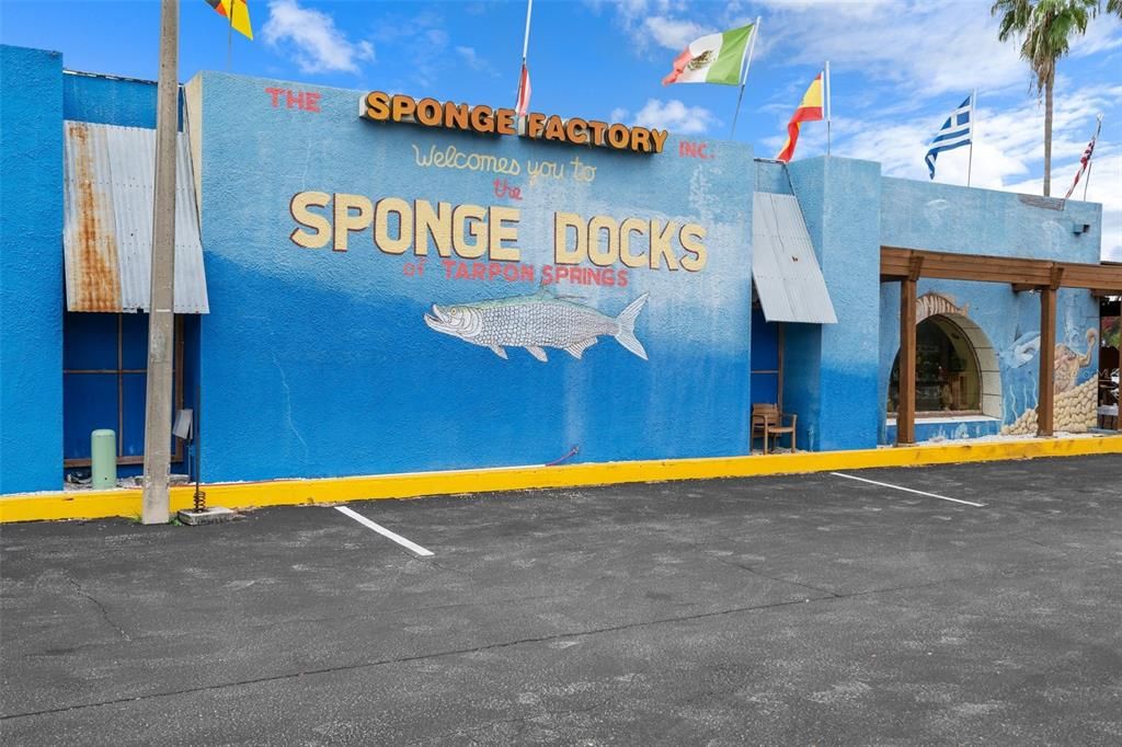 Sponge Docks- few minute walk away from Townhome